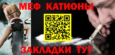 шишки Дубна