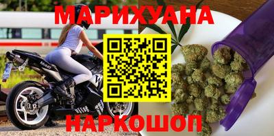 шишки Дубна
