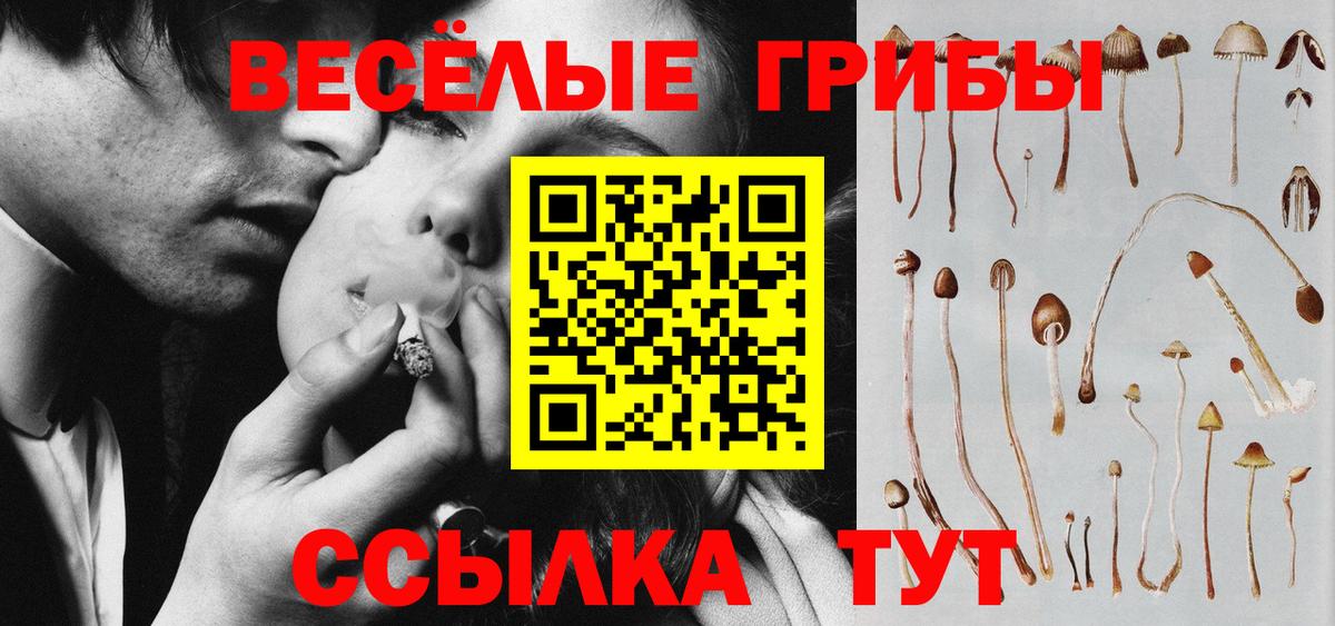 Псилоцибиновые грибы Psilocybine cubensis Михайловка